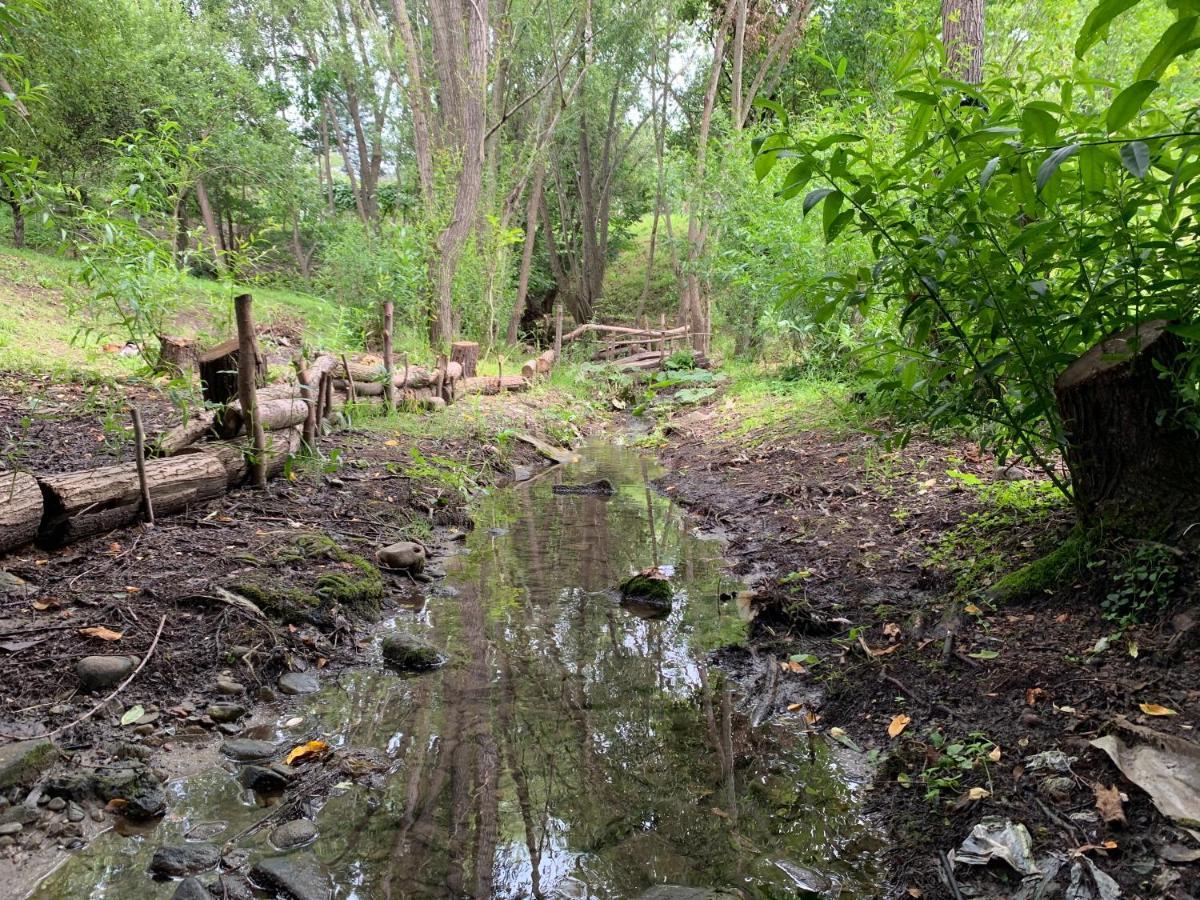 Casa Rurala Cu Livada Lavandra Campina Esterno foto