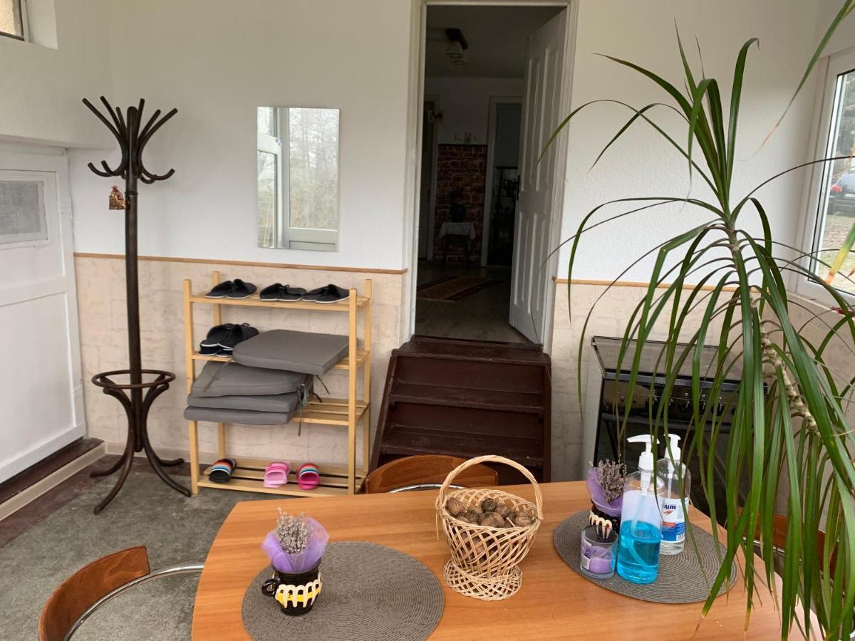 Casa Rurala Cu Livada Lavandra Campina Esterno foto