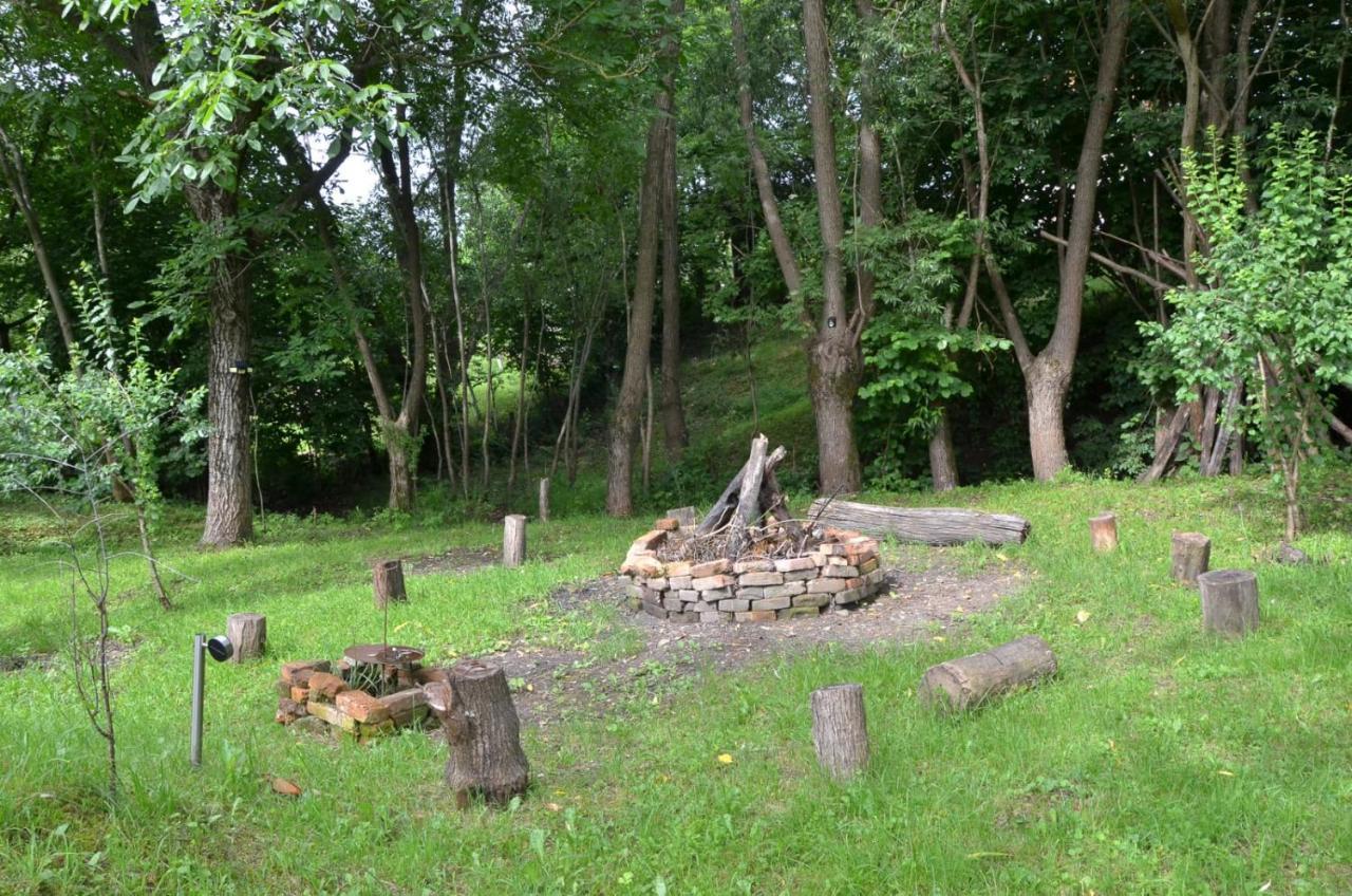 Casa Rurala Cu Livada Lavandra Campina Esterno foto